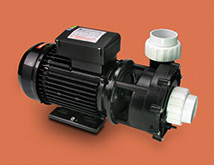 Pompa spa 2,5hp