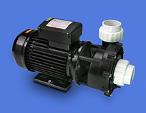 Pompa spa 2,5hp