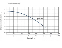Curve of The Pumps